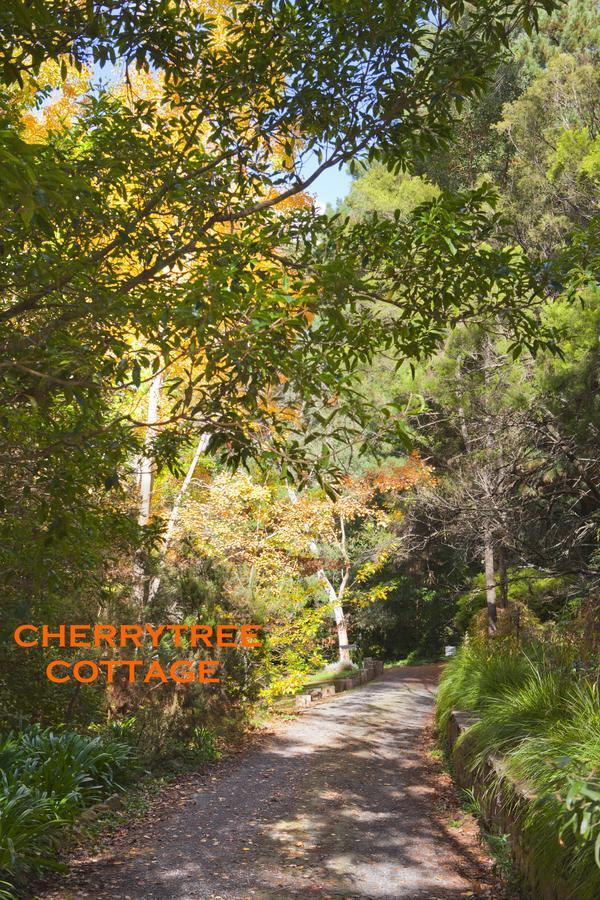 Crafers Cottages Adelaide Rum bild
