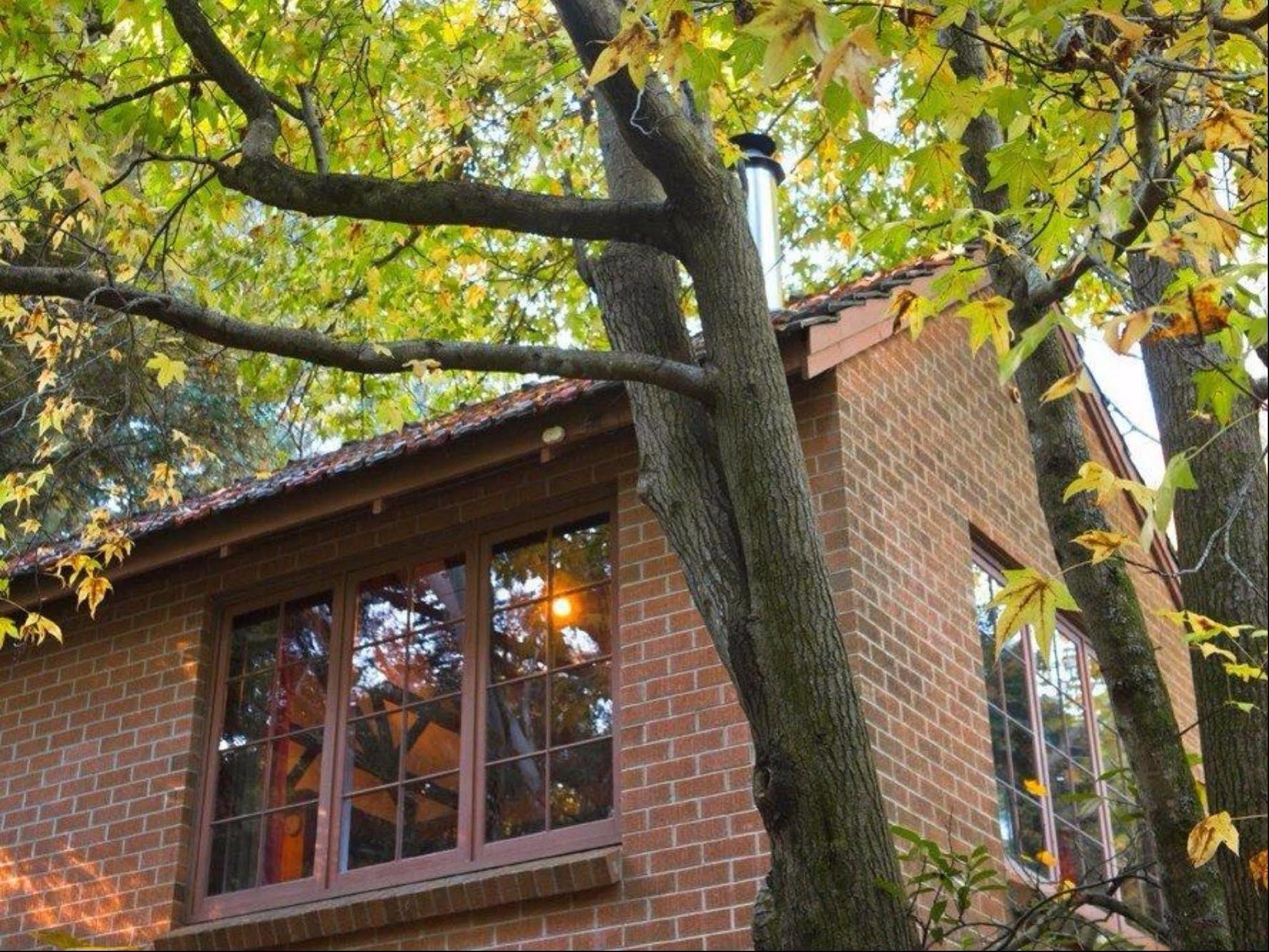 Crafers Cottages Adelaide Exteriör bild